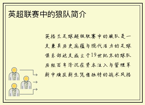 英超联赛中的狼队简介