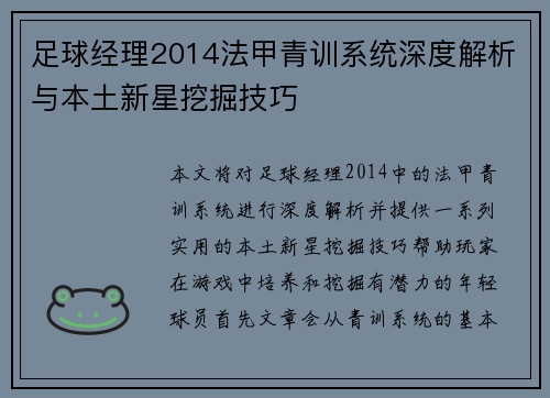 足球经理2014法甲青训系统深度解析与本土新星挖掘技巧