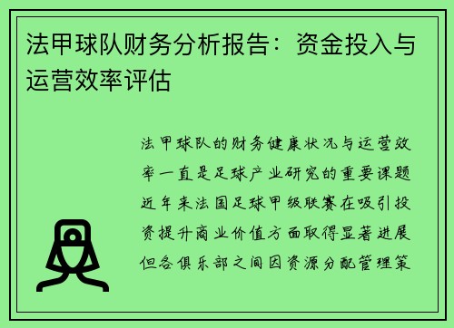 法甲球队财务分析报告：资金投入与运营效率评估